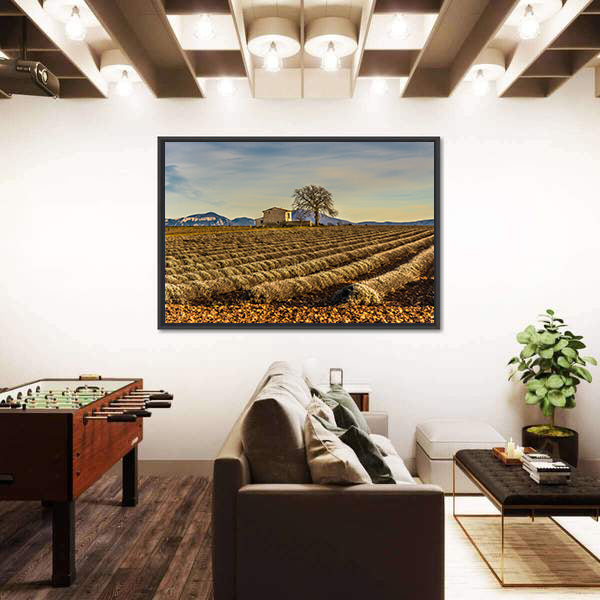 Unharvested Lavender Field In Provence France Canvas Wall Art