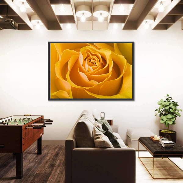 Close Up Of Rose Canvas Wall Art