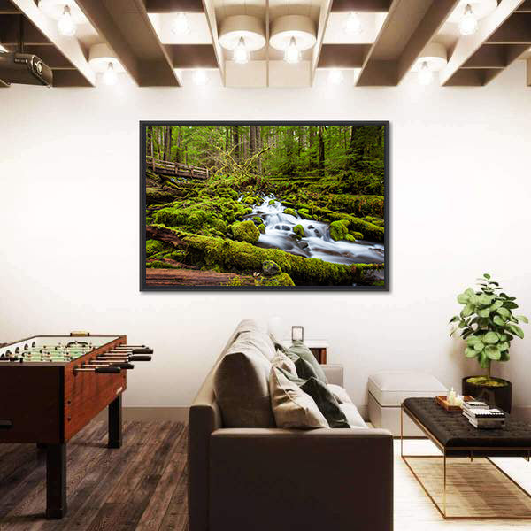 Sol Duc Falls Trail In Olympic National Park Canvas Wall Art