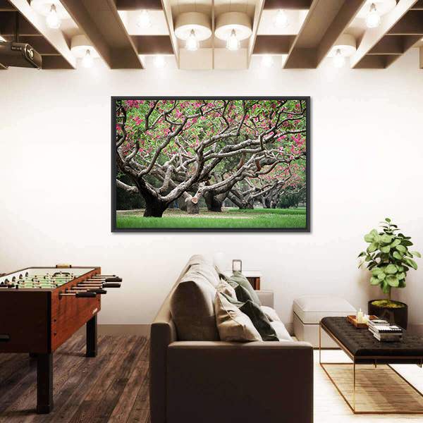 Peach Trees With Blooming Pink Flowers Canvas Wall Art