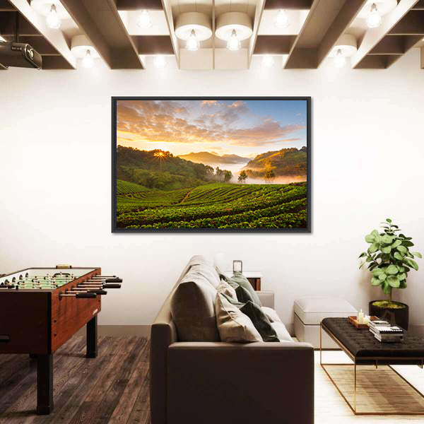 Misty Morning Sunrise In Strawberry Garden In Chiangmai Thailand Canvas Wall Art