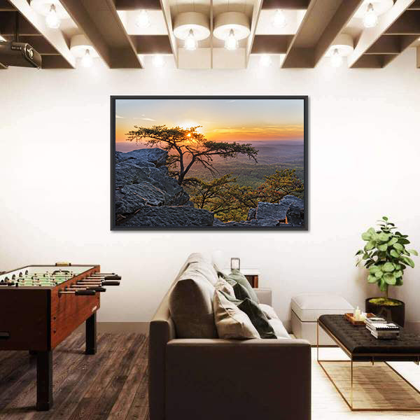 Gnarled Tree at Sunset Overlook Canvas Wall Art