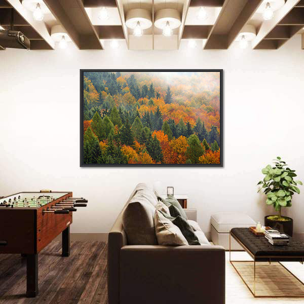 Foggy Autumn Forest In Romania Canvas Wall Art