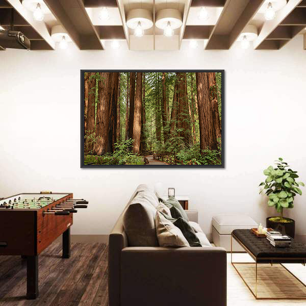 Muir Woods National Monument In California Canvas Wall Art