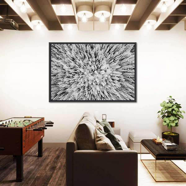 Snow Covered Evergreen Forests In The Colorado Rocky Mountains Canvas Wall Art