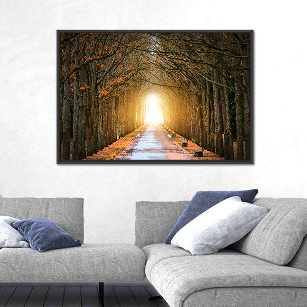 Autumn Tree Tunnel with Benches Canvas Wall Art