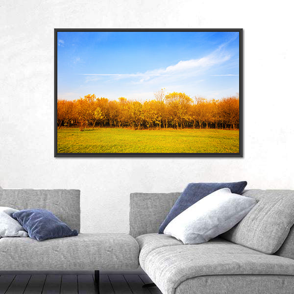 Autumn Meadow with Golden Leaves Canvas Wall Art