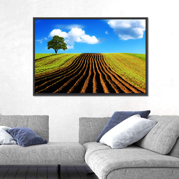 Ploughed Field with Lone Tree Canvas Wall Art