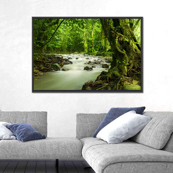 Tropical River At Selangor State In Malaysia Canvas Wall Art