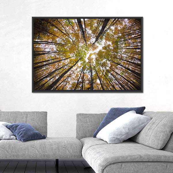 Autumn Forest Treetops Canvas Wall Art