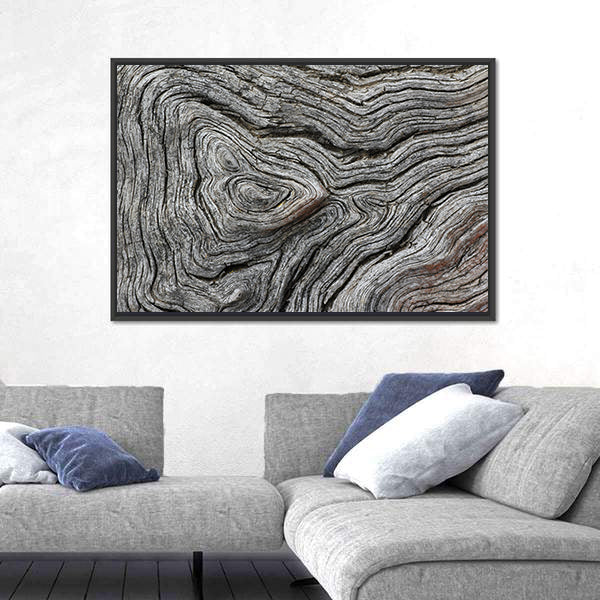 Weathered Wood Grain Macro Canvas Wall Art