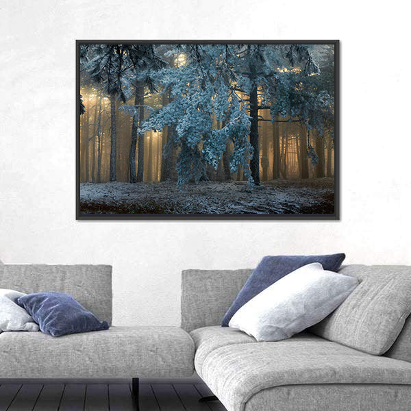 Fog In The forest In Uludag Turkey Canvas Wall Art