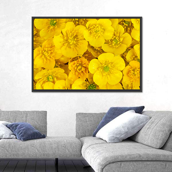 Yellow Wild Buttercups Canvas Wall Art