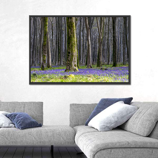 Springtime Bluebell Wood in England Canvas Wall Art