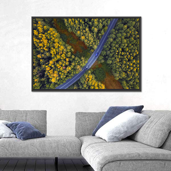 Travel Through Forest Canvas Wall Art