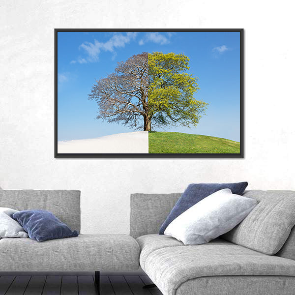 Tree Split Between Winter and Summer Canvas Wall Art