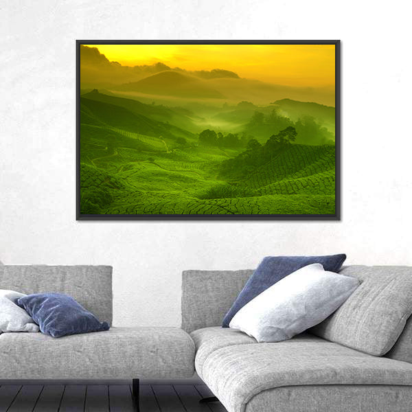 Tea Plantation In Cameron Highland At Sunrise Canvas Wall Art