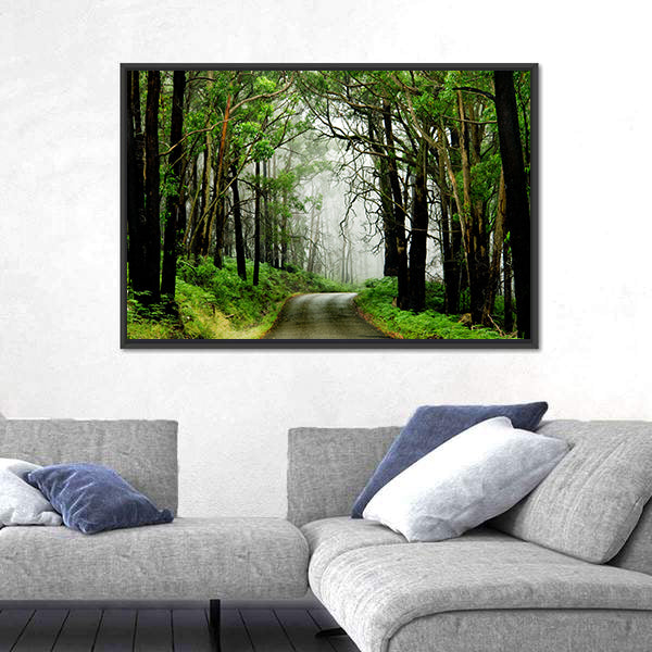 Forest Road With Fog Canvas Wall Art