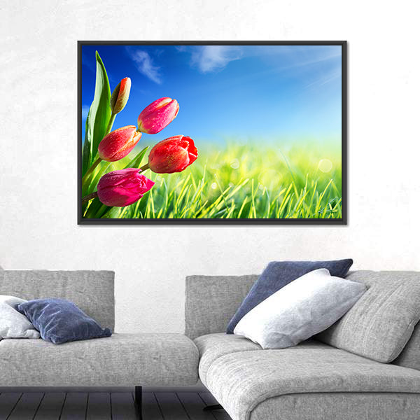 Sunny Spring Tulips in Meadow Canvas Wall Art