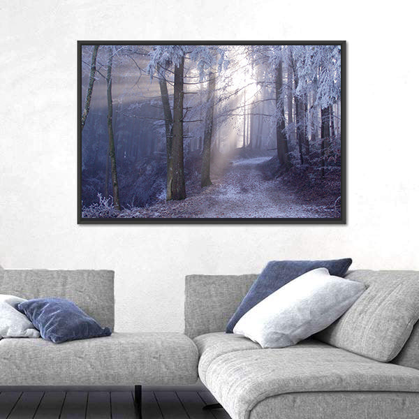 Mystic Forest Track Canvas Wall Art
