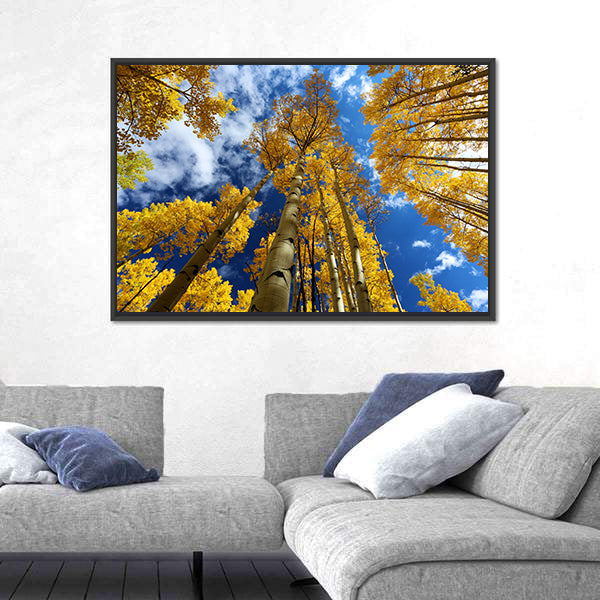 Golden Autumn Aspen Canopy Canvas Wall Art