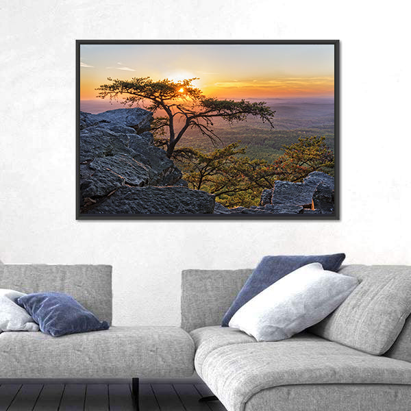 Gnarled Tree at Sunset Overlook Canvas Wall Art