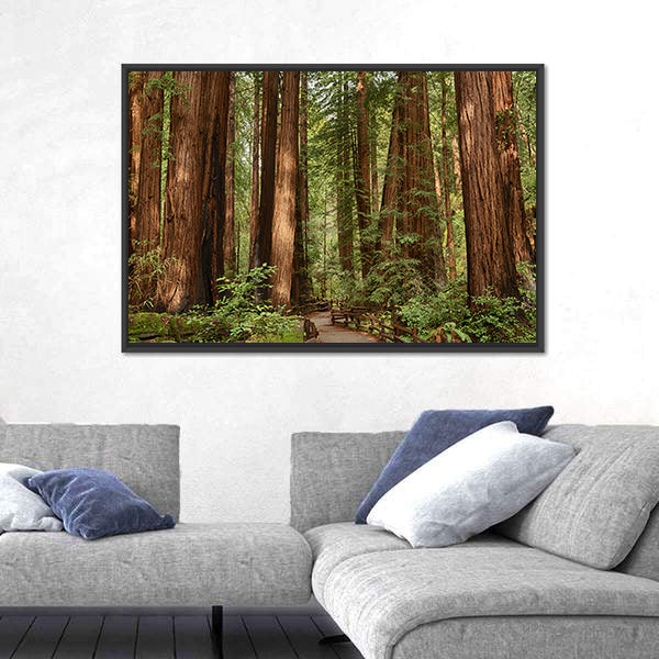 Muir Woods National Monument In California Canvas Wall Art