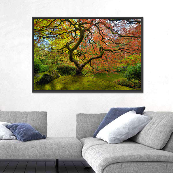 Gnarled Japanese Maple Tree in Portland Canvas Wall Art