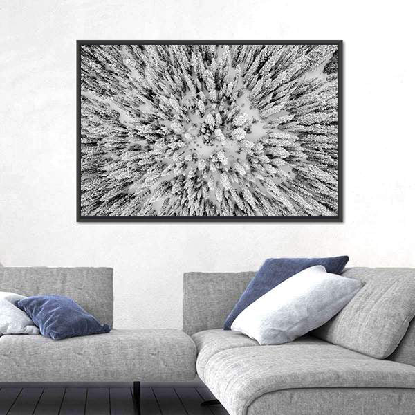 Snow Covered Evergreen Forests In The Colorado Rocky Mountains Canvas Wall Art