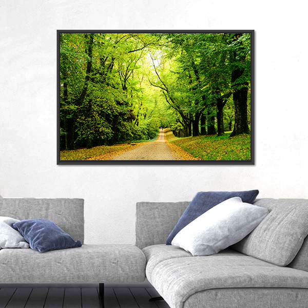 Path In The Forest Woods Canvas Wall Art