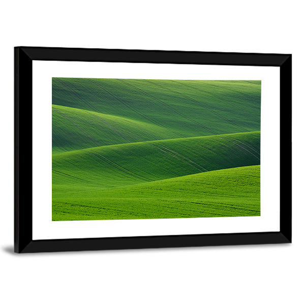 Rolling Green Hills in South Moravia Canvas Wall Art