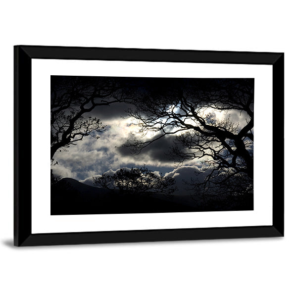 Silhouetted Trees Under Storm Clouds Canvas Wall Art