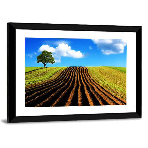 Ploughed Field with Lone Tree Canvas Wall Art