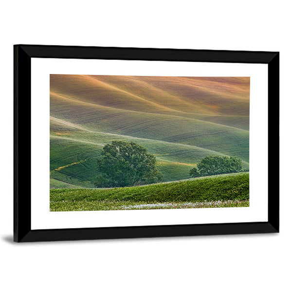 Tuscany Rolling Hills at Golden Hour Canvas Wall Art
