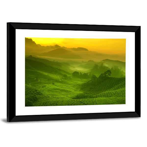 Tea Plantation In Cameron Highland At Sunrise Canvas Wall Art