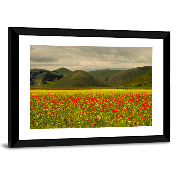 Castelluccio Di Norcia Meadow with Red Poppies Canvas Wall Art