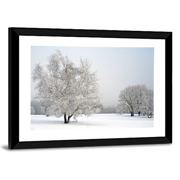 Frosted Trees in Snowy Field Canvas Wall Art