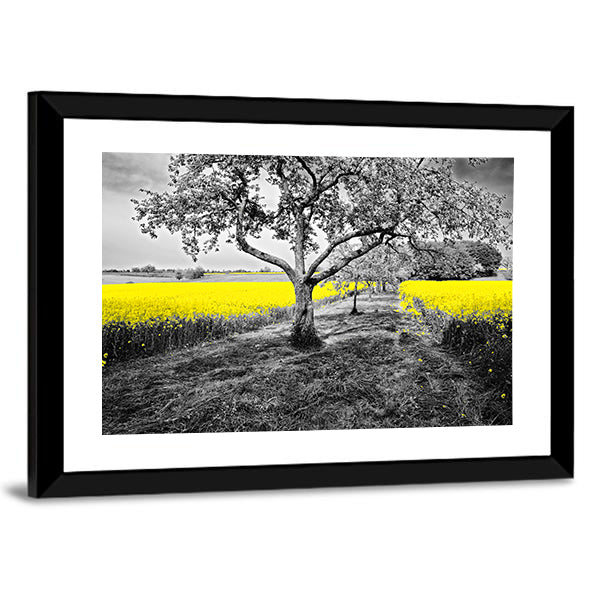 Yellow Canola Field with Large Tree and Path Canvas Wall Art