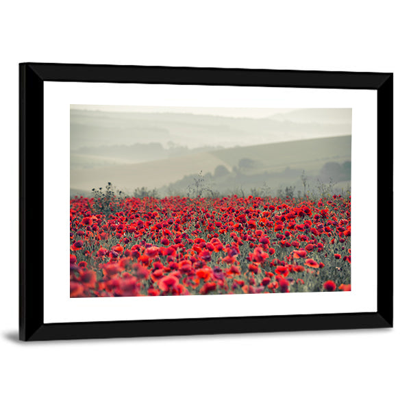 Field of Red Poppies Canvas Wall Art