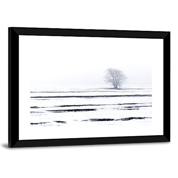 Solitary Tree in Snowy Field Canvas Wall Art