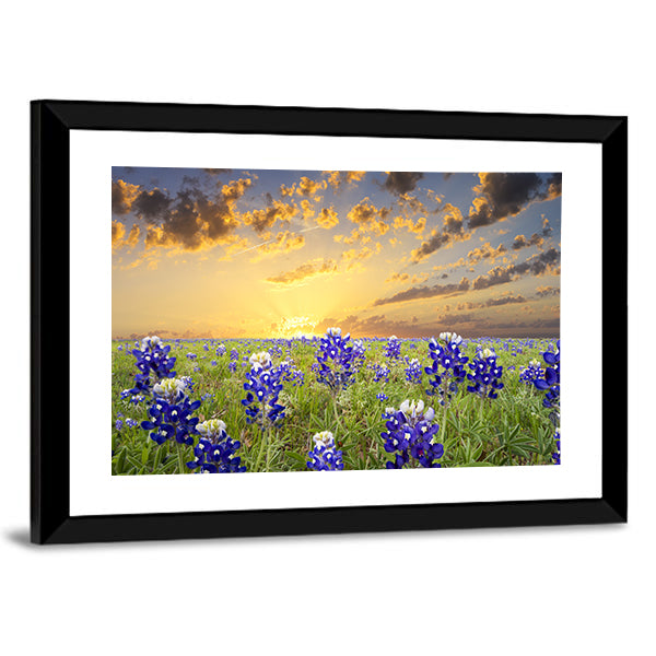 Bluebonnets In The Texas Hill County Canvas Wall Art