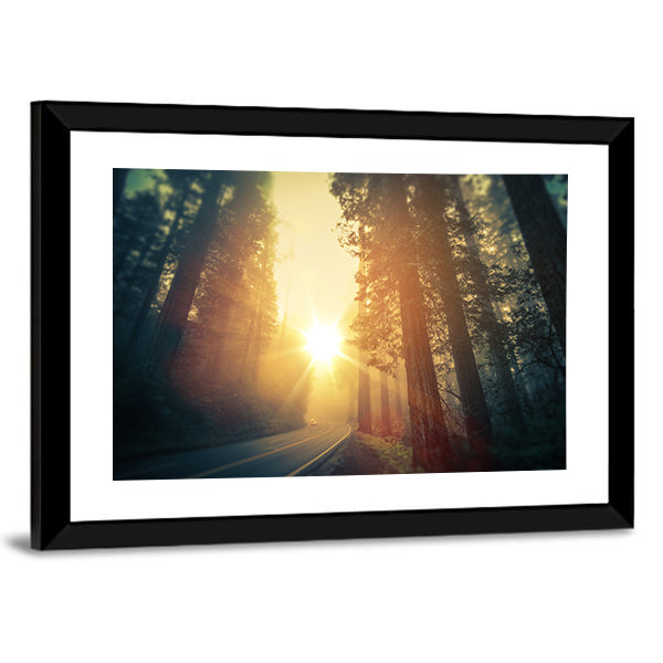 Foggy Redwood Forest Road Canvas Wall Art