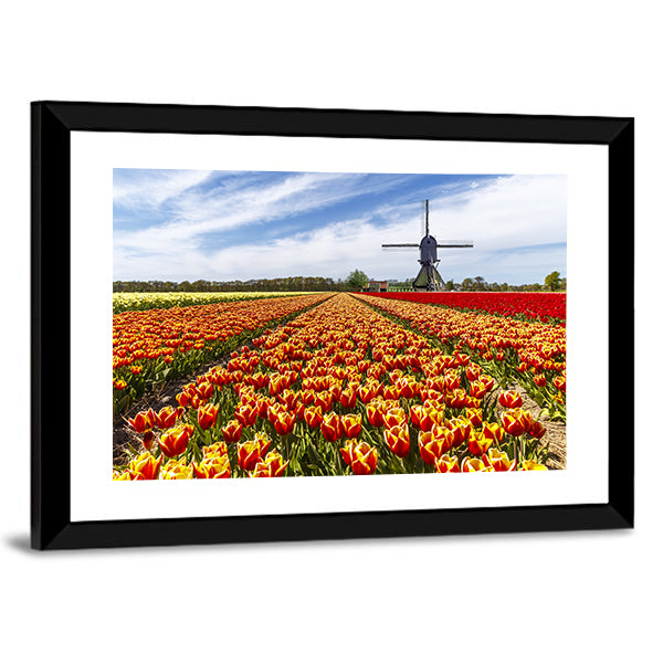 Colorful Tulip Field with Dutch Windmill Canvas Wall Art