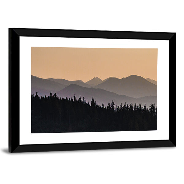 Early Morning Mist On Forest Mountain Canvas Wall Art
