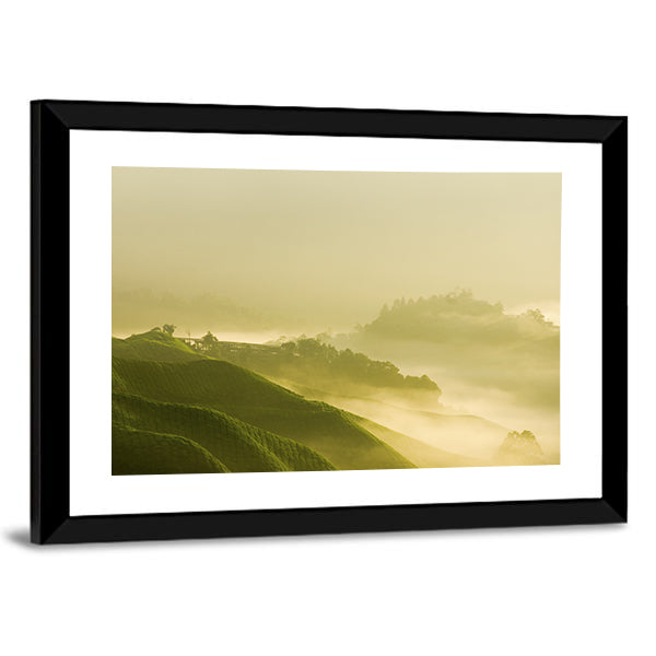 Tea Plantation At Cameron Highland Malaysia Canvas Wall Art