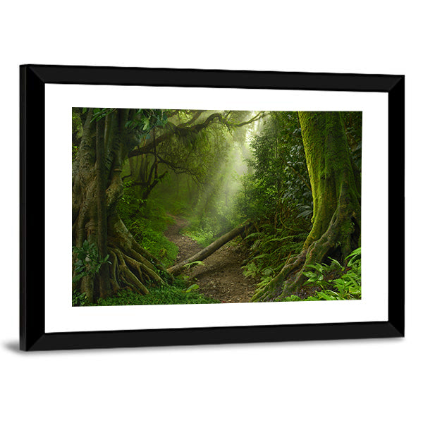 Asian Rain Forest With Sun Rays Canvas Wall Art