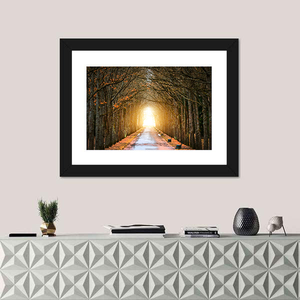 Autumn Tree Tunnel with Benches Canvas Wall Art