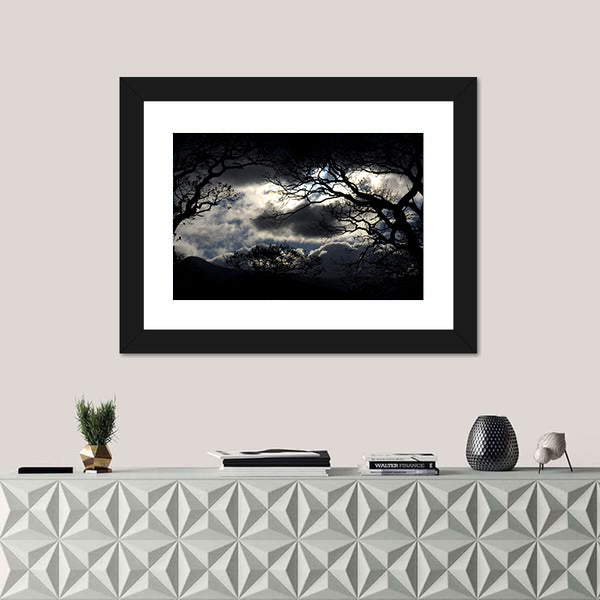 Silhouetted Trees Under Storm Clouds Canvas Wall Art