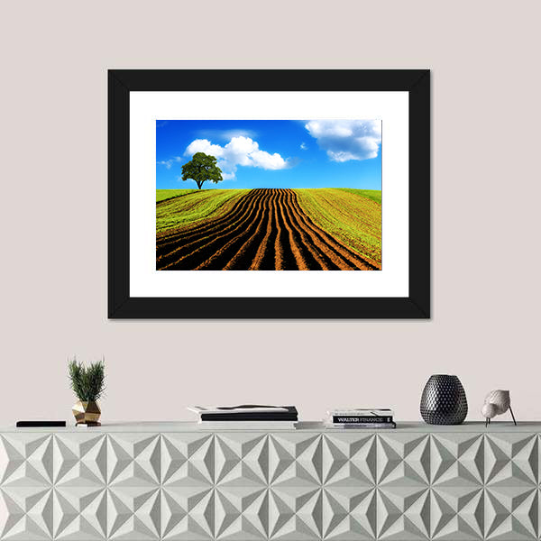 Ploughed Field with Lone Tree Canvas Wall Art