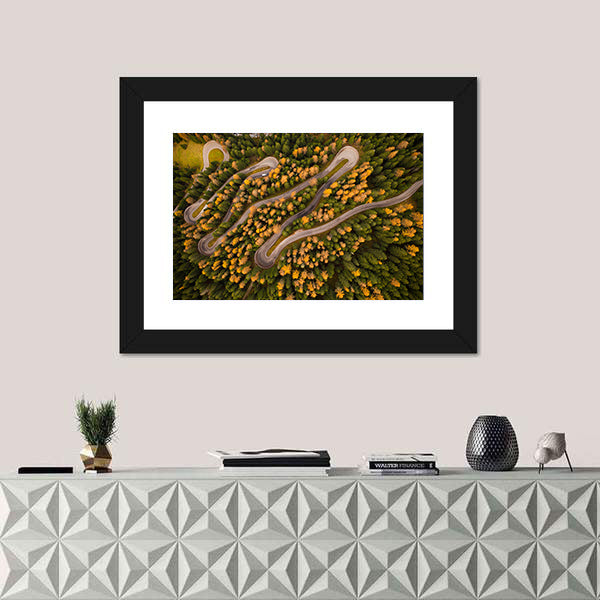 Curvy Road In Autumn Forest Canvas Wall Art
